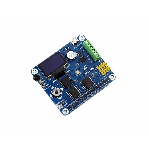Pioneer600 - Raspberry Pi