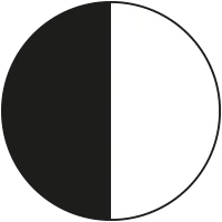 PT00000500P