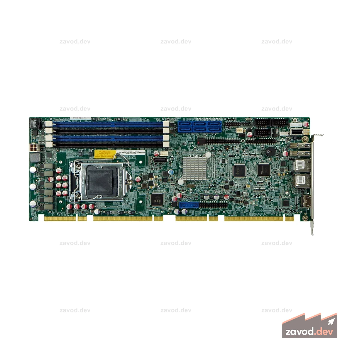 SPCIE-C246