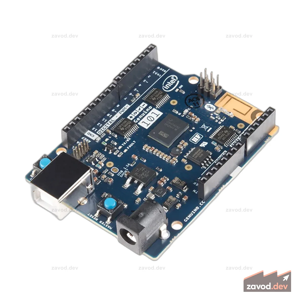 Genuino 101