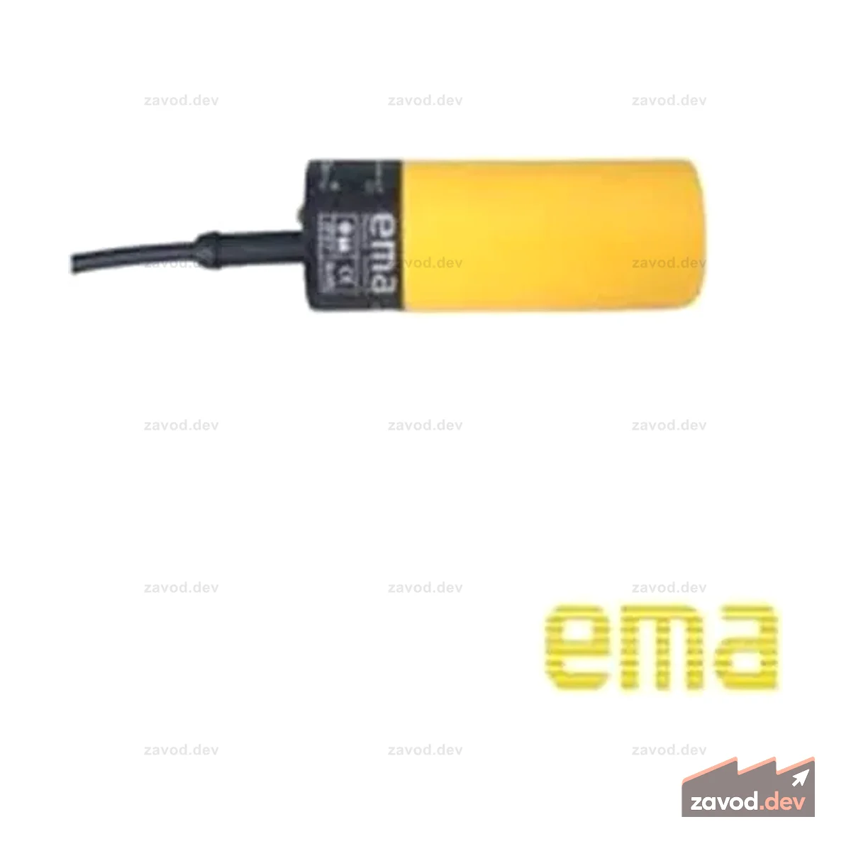 IE1001