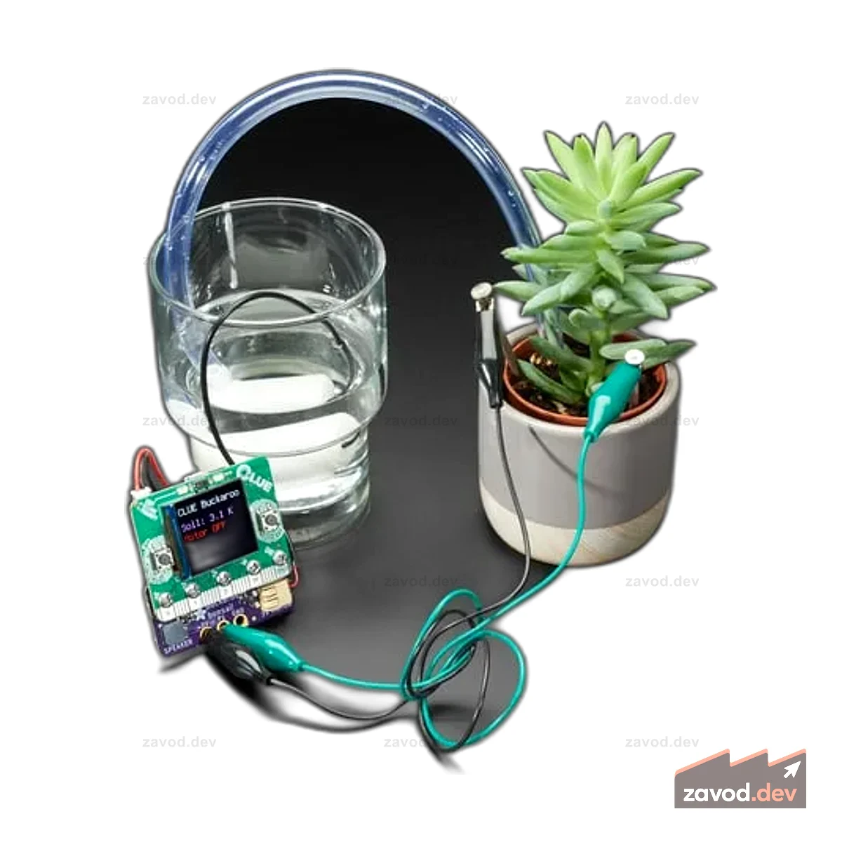 Adafruit Bonsai Buckaroo — micro:bit & CLUE Помощник по уходу за растениями