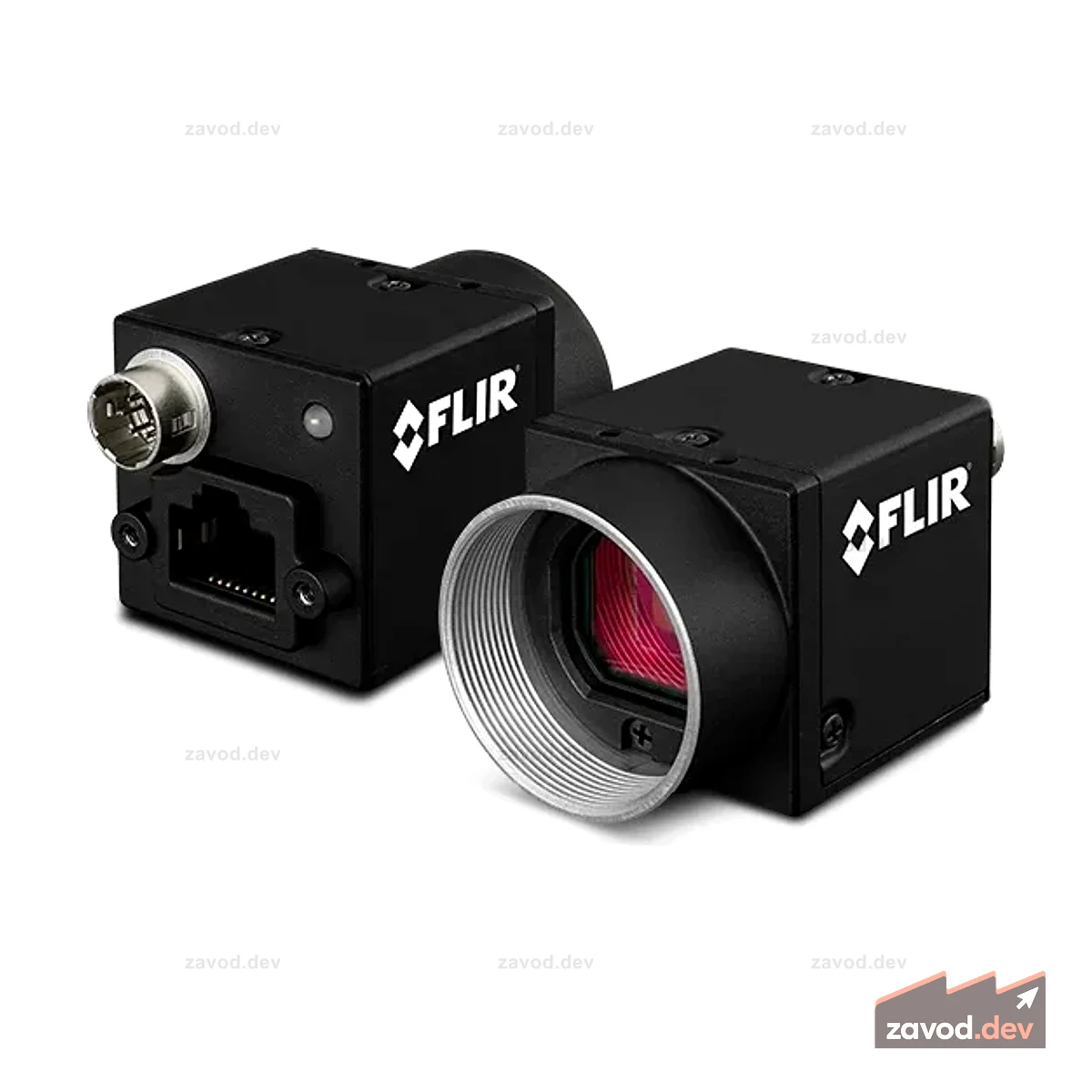 Teledyne FLIR Blackfly GigE: 0,9 МП, цветной, CS-крепление