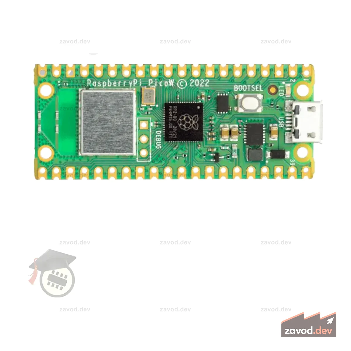 Raspberry Pi® Pico W (беспроводной Wi-Fi)