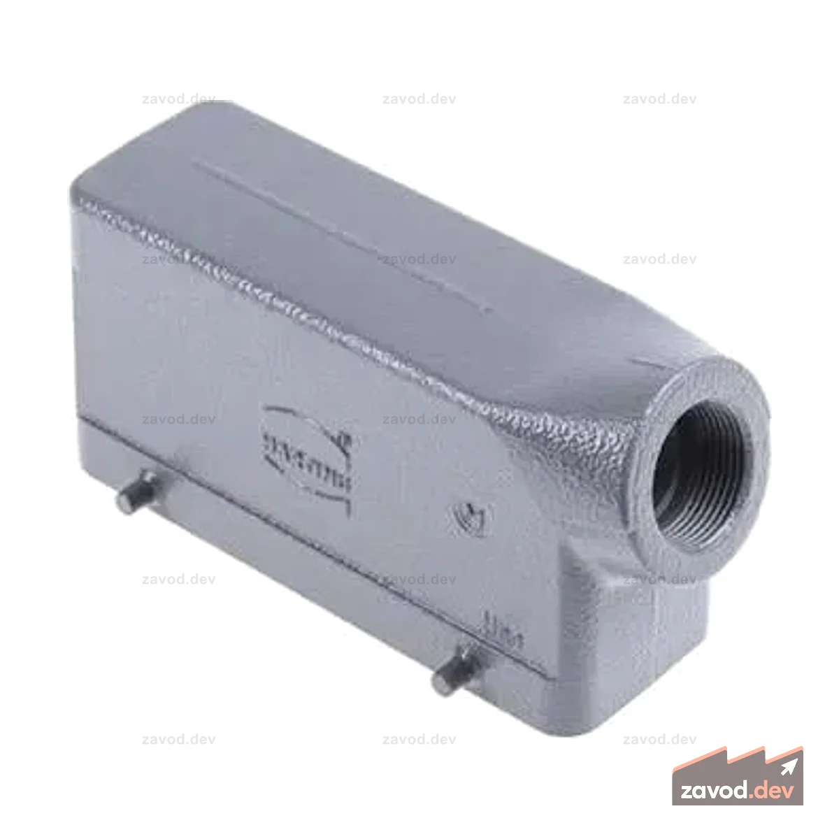 19300241521