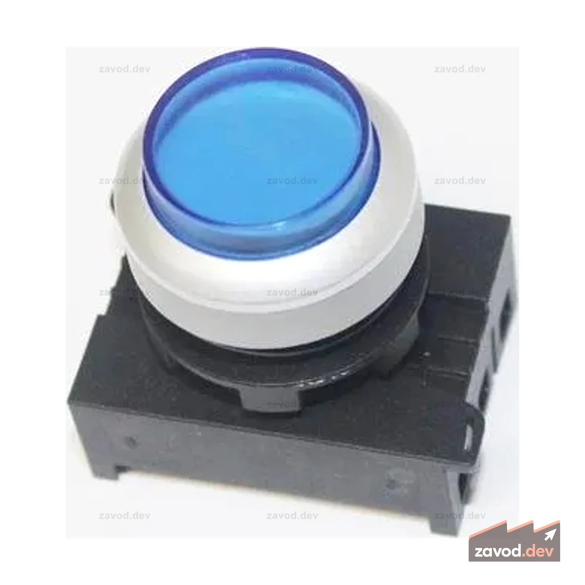 P302MBS