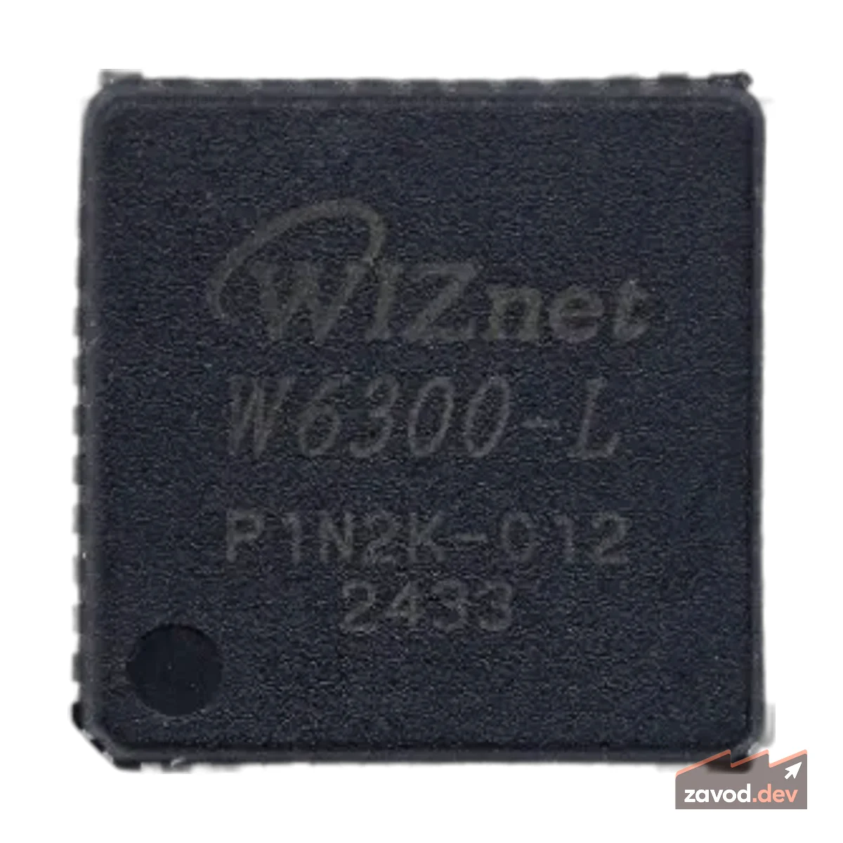 TCP/IP W6300