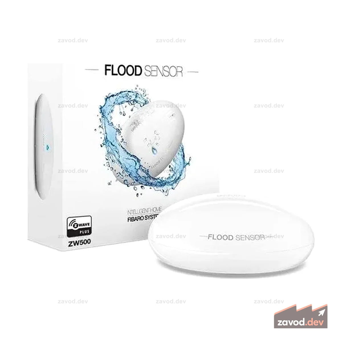 FGFS-101 ZW5