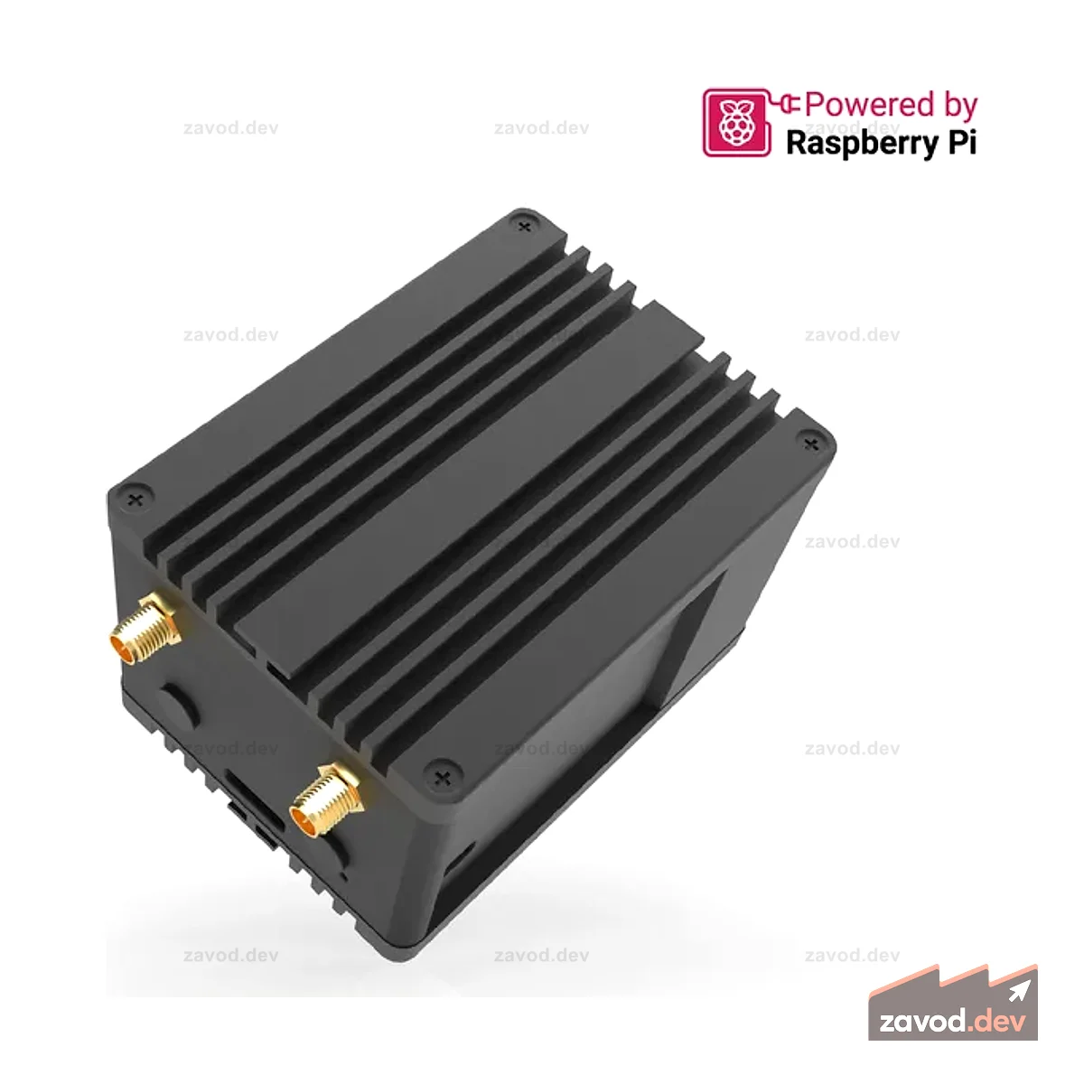 Разработчик WisGate D4H/D4H+/D4HP | РАК7248/РАК7248П/РАК7248С | Шлюз на базе Raspberry Pi 4 для LoRaWAN