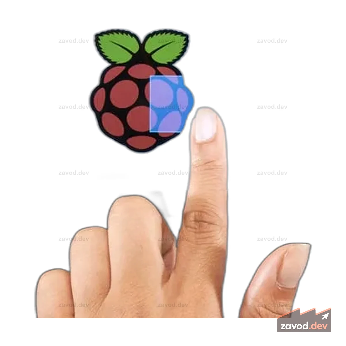 Pi Foundation Display — сенсорный дисплей с диагональю 7 дюймов для Raspberry Pi