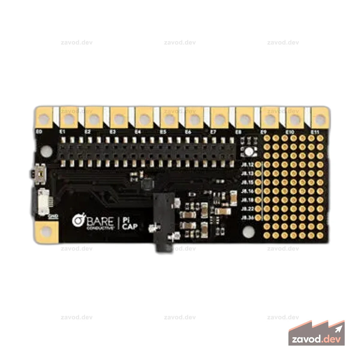 PI CAP