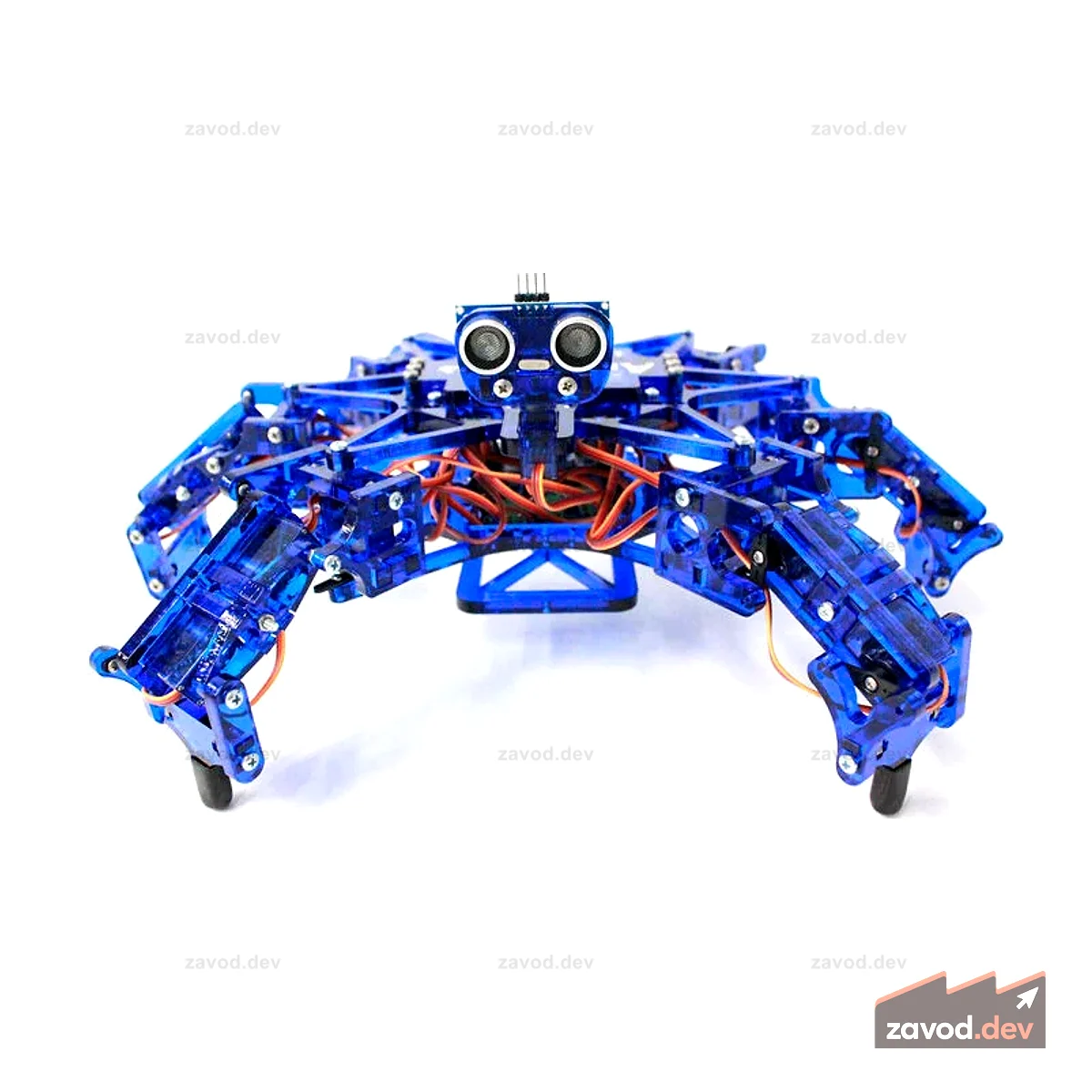 Hexy