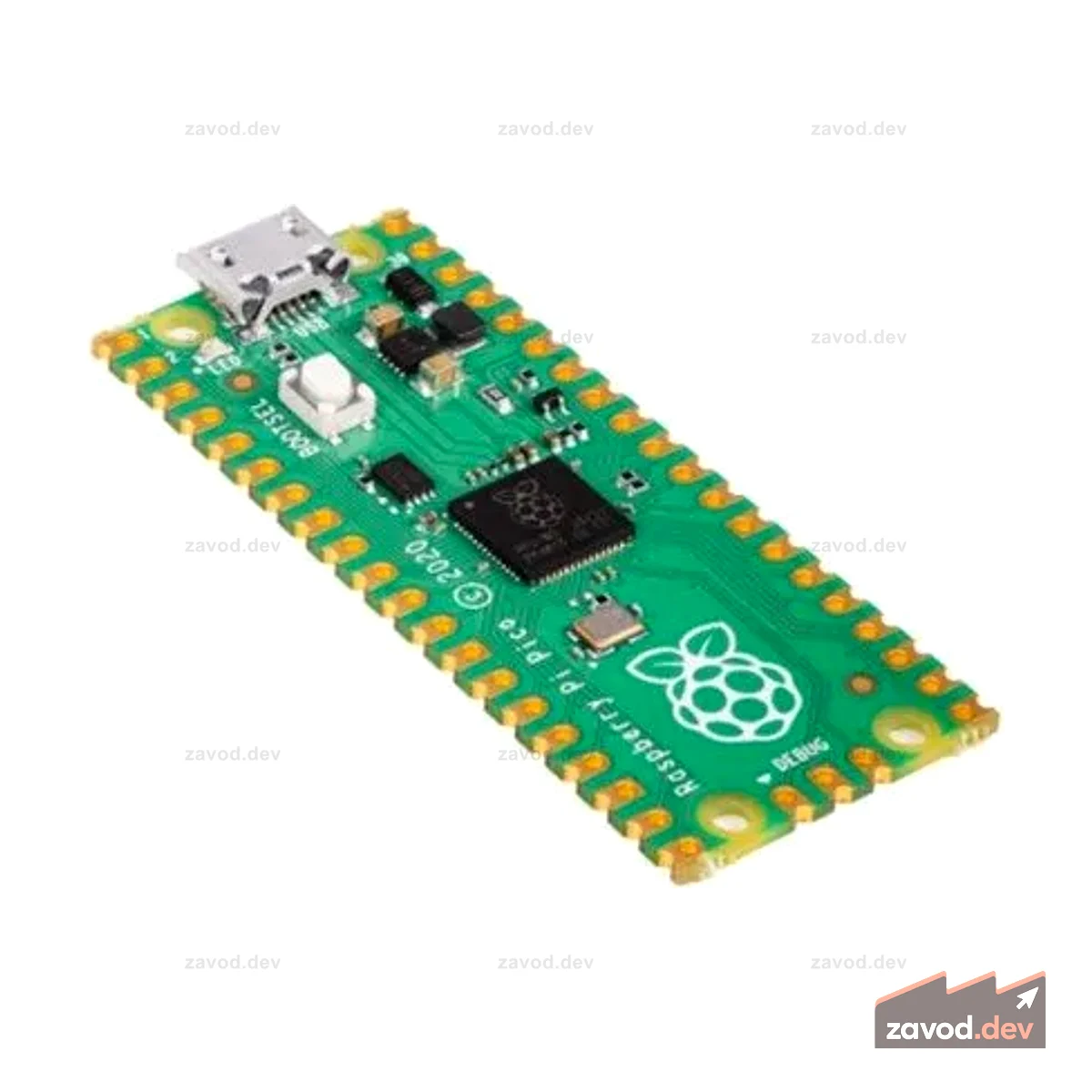RASPBERRY PI PICO