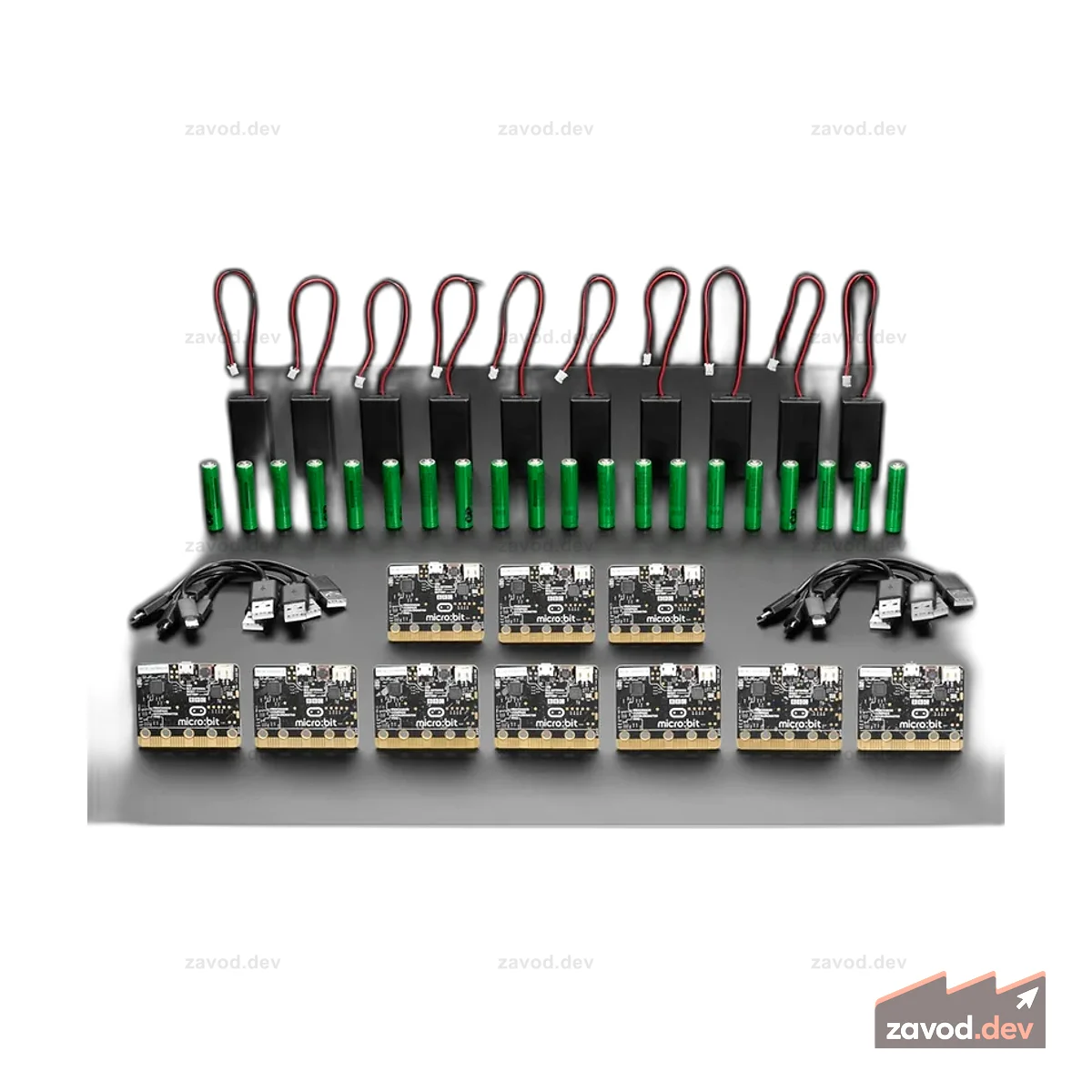 micro:bit Club 10 шт.