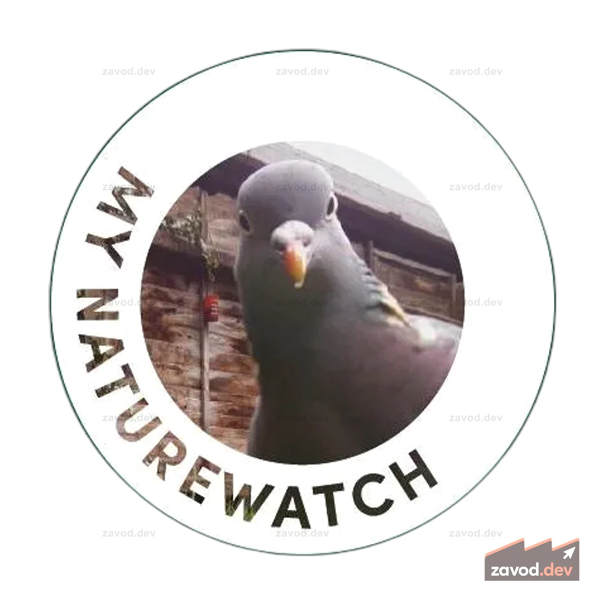 Моя камера для наблюдения за дикой природой Naturewatch