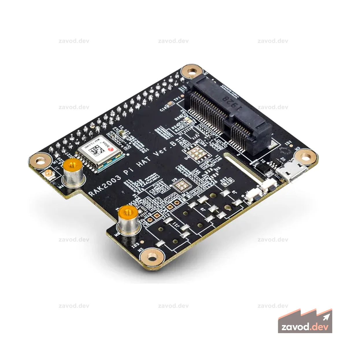 RAK2247 Pi HAT