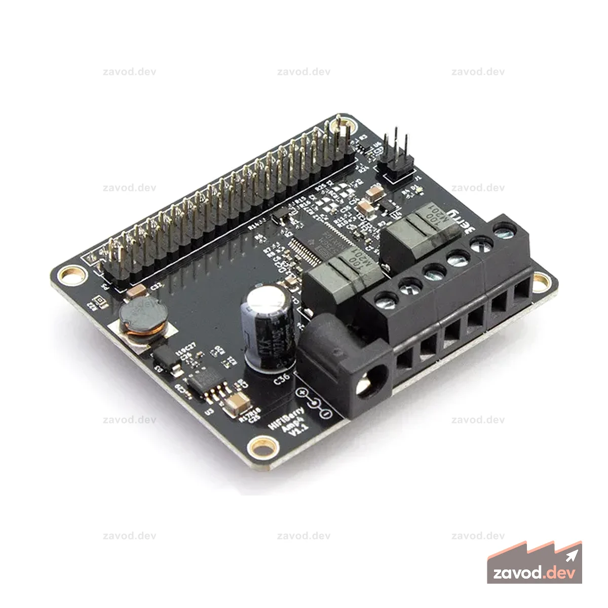 HiFiBerry Amp4
