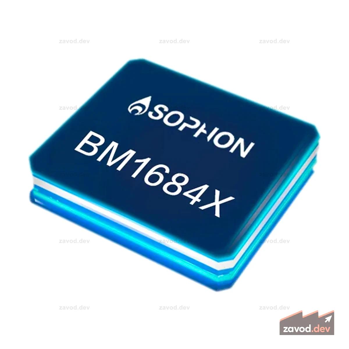 BM1684X