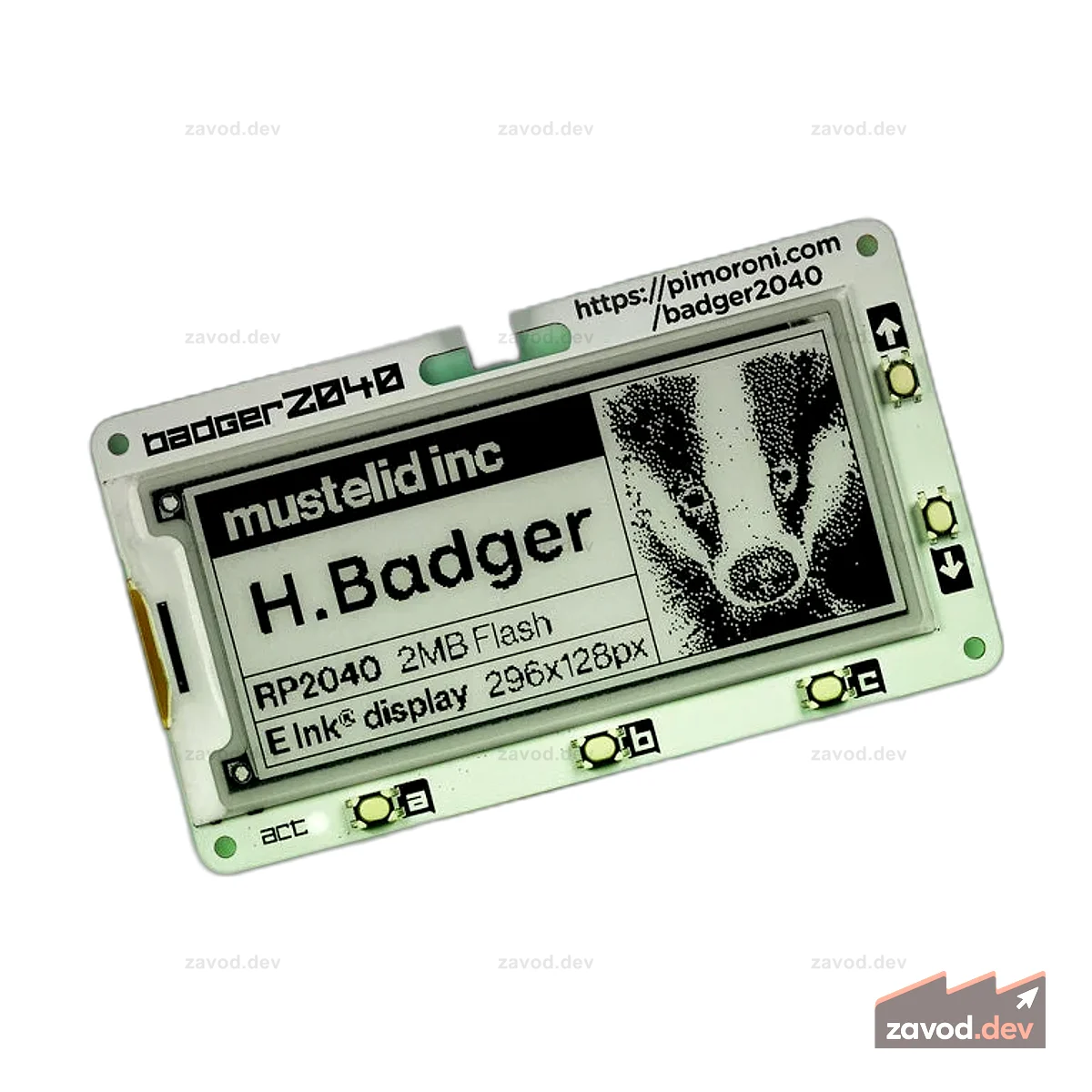 Badger 2040