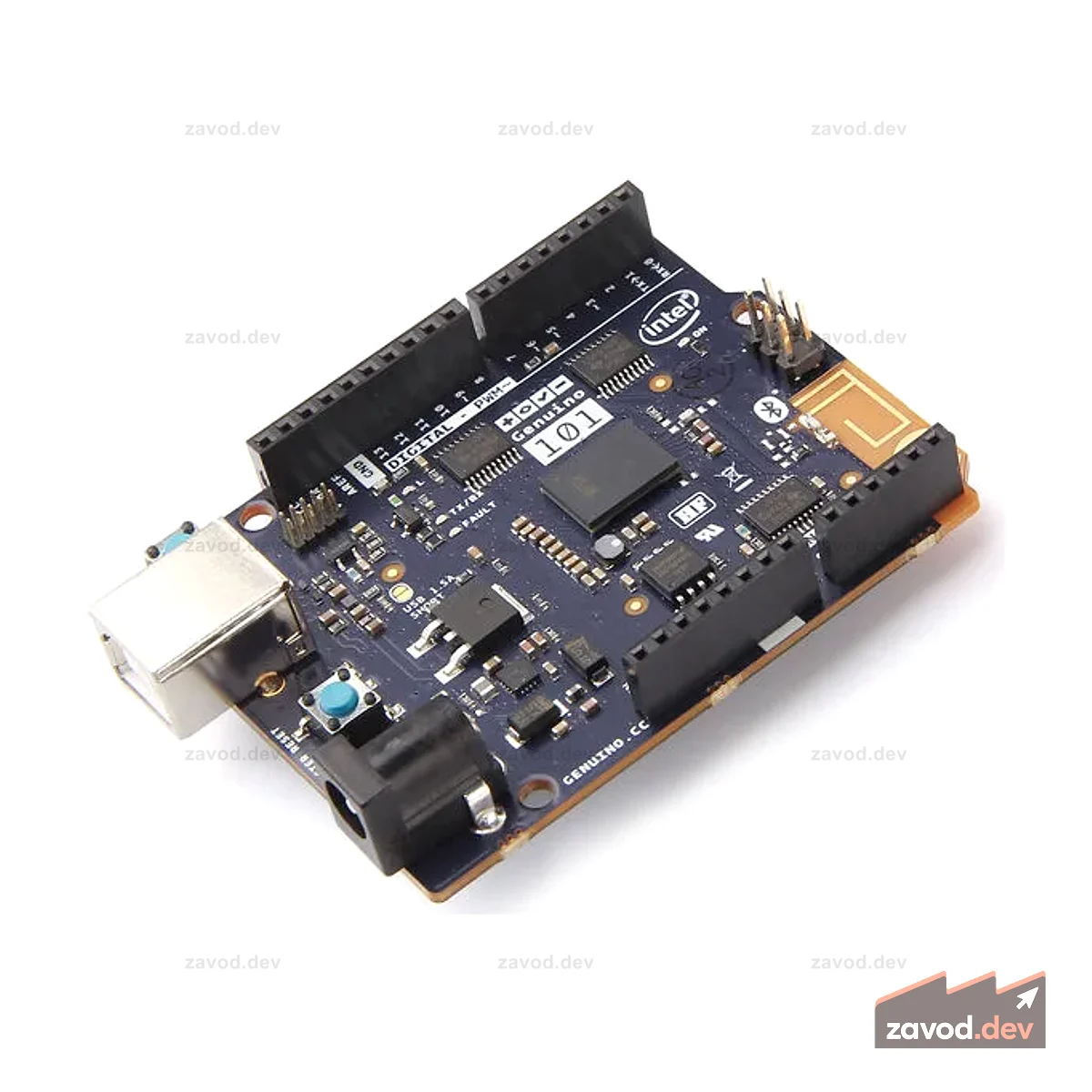 Genuino 101
