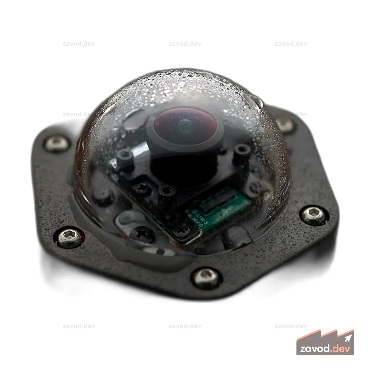 Entaniya