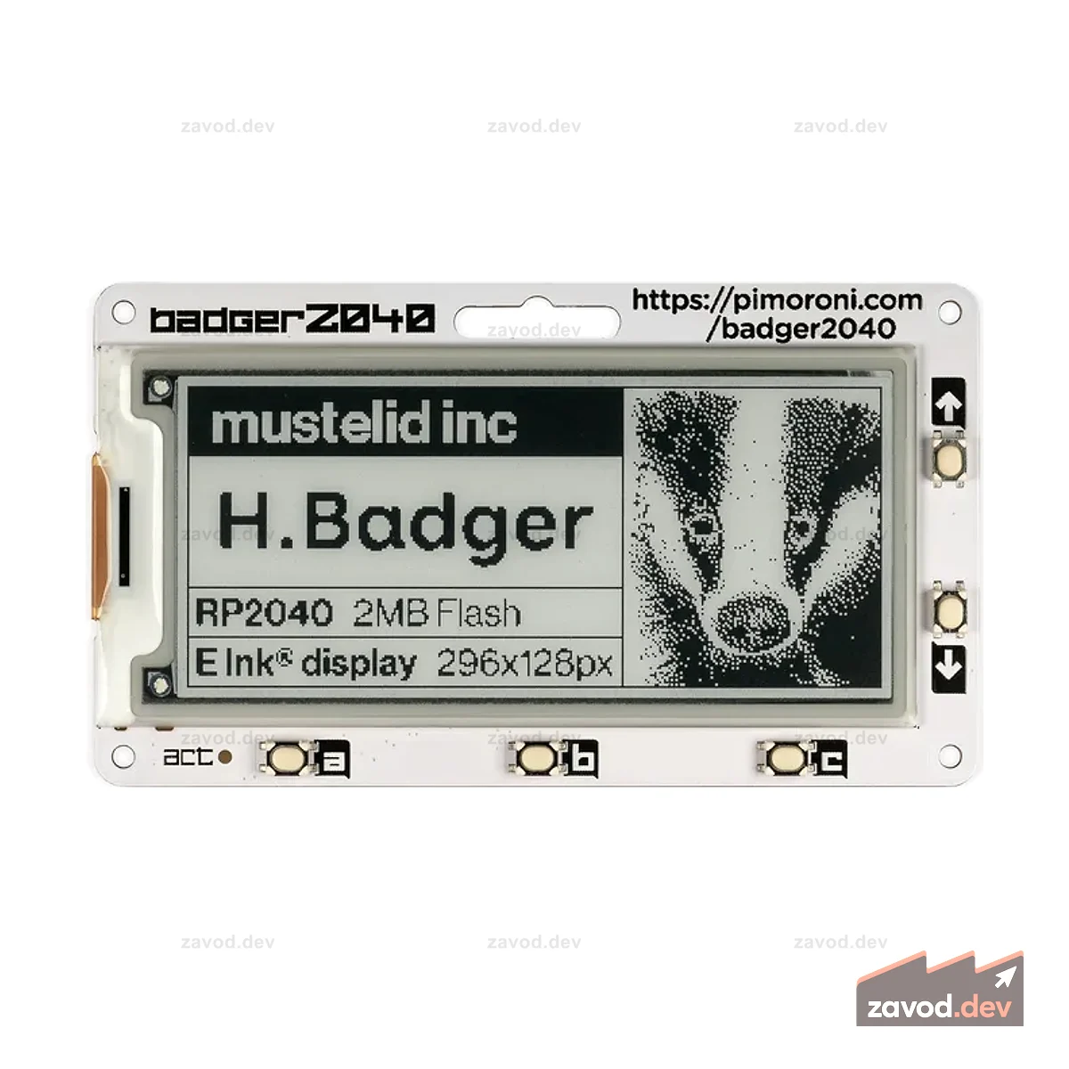 Badger 2040