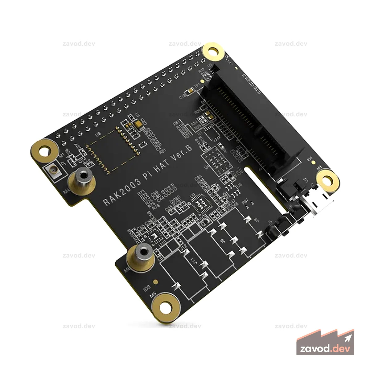 RAK2287/RAK5146 Pi HAT