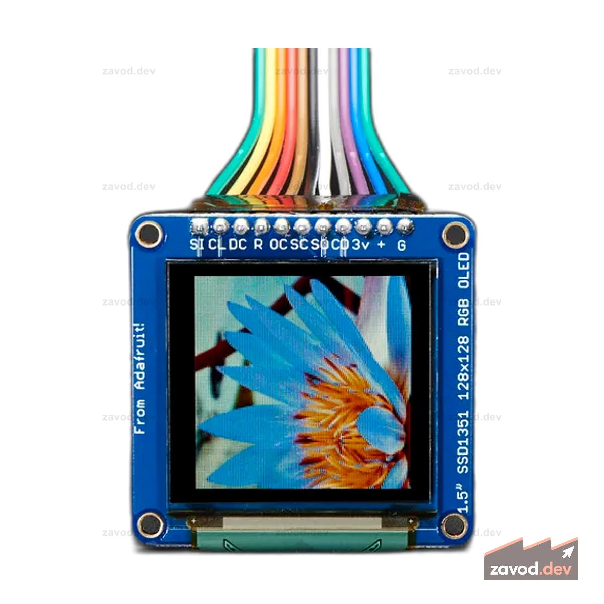 Коммутационная плата OLED — 16-битный цветной дисплей 1,5 дюйма с держателем microSD Разъем EYESPI